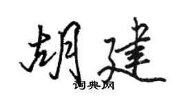 駱恆光胡建行書個性簽名怎么寫