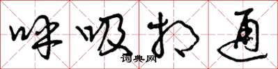 曾慶福呼吸相通草書怎么寫