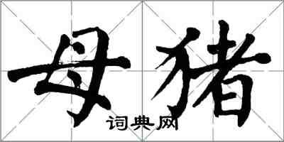 翁闓運母豬楷書怎么寫