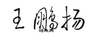 駱恆光王鵬揚草書個性簽名怎么寫
