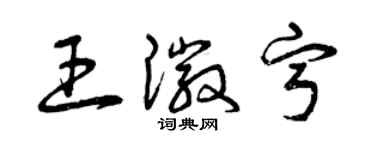 曾慶福王徽寧草書個性簽名怎么寫