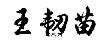 胡問遂王韌苗行書個性簽名怎么寫