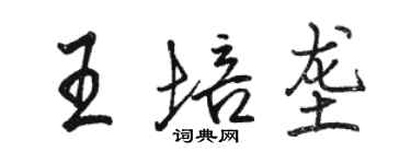 駱恆光王培壟行書個性簽名怎么寫