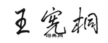 駱恆光王憲桐行書個性簽名怎么寫