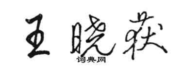 駱恆光王曉獲行書個性簽名怎么寫