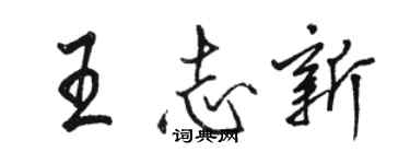 駱恆光王志新行書個性簽名怎么寫