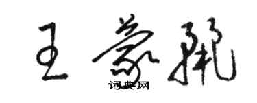 駱恆光王蒙麗草書個性簽名怎么寫