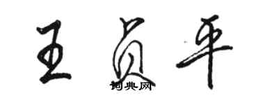 駱恆光王貞平行書個性簽名怎么寫