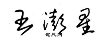 朱錫榮王澎星草書個性簽名怎么寫