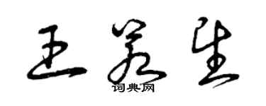 曾慶福王若望草書個性簽名怎么寫