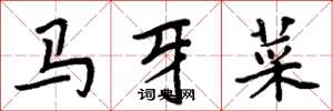 周炳元馬牙菜楷書怎么寫