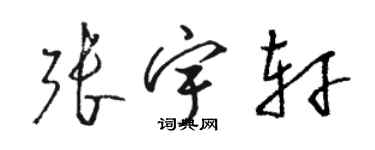 駱恆光張宇軒草書個性簽名怎么寫