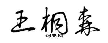 曾慶福王桐森草書個性簽名怎么寫