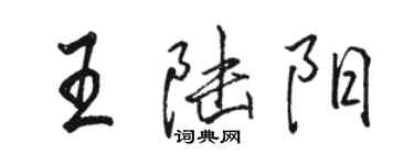 駱恆光王陸陽行書個性簽名怎么寫