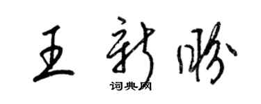 梁錦英王新盼草書個性簽名怎么寫