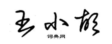 朱錫榮王小胡草書個性簽名怎么寫