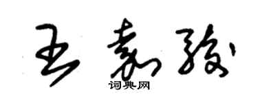 朱錫榮王嘉駿草書個性簽名怎么寫