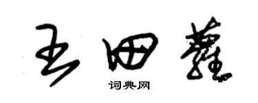 朱錫榮王田蘿草書個性簽名怎么寫