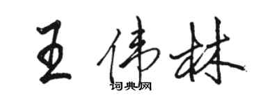駱恆光王偉林行書個性簽名怎么寫