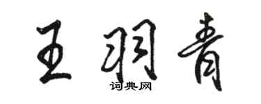駱恆光王羽青行書個性簽名怎么寫