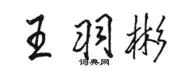 駱恆光王羽彬行書個性簽名怎么寫
