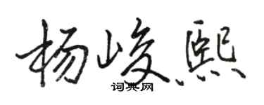 駱恆光楊峻熙行書個性簽名怎么寫