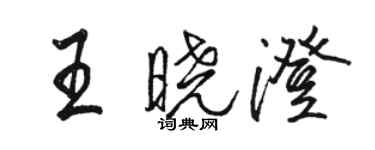 駱恆光王曉澄行書個性簽名怎么寫