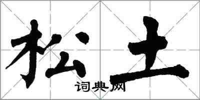 翁闓運鬆土楷書怎么寫