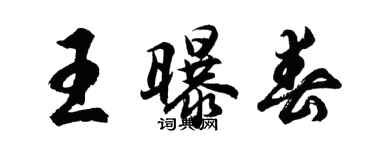 胡問遂王曝春行書個性簽名怎么寫