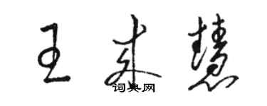 駱恆光王來慧草書個性簽名怎么寫