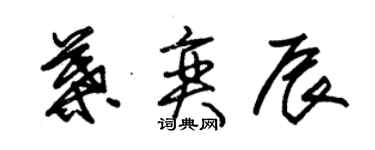 朱錫榮葉奕辰草書個性簽名怎么寫