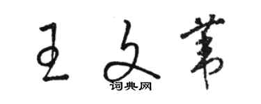 駱恆光王文葦草書個性簽名怎么寫