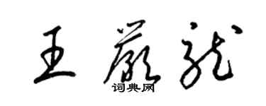 梁錦英王嚴龍草書個性簽名怎么寫