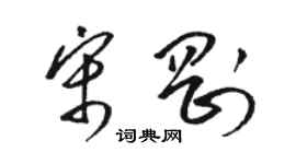 駱恆光宋剛草書個性簽名怎么寫