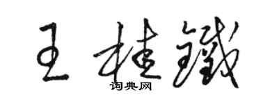 駱恆光王桂鐵草書個性簽名怎么寫