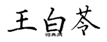 丁謙王白苓楷書個性簽名怎么寫