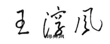 駱恆光王淳風草書個性簽名怎么寫