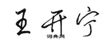 駱恆光王開寧行書個性簽名怎么寫