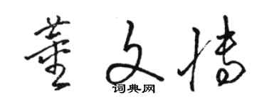 駱恆光董文博草書個性簽名怎么寫