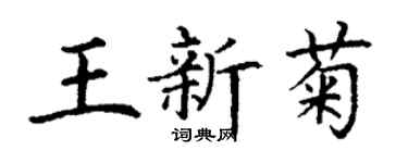丁謙王新菊楷書個性簽名怎么寫