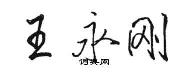 駱恆光王永剛行書個性簽名怎么寫