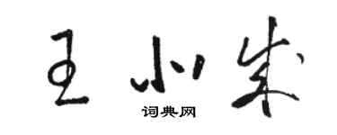 駱恆光王北成草書個性簽名怎么寫