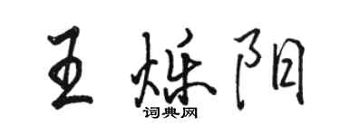 駱恆光王爍陽行書個性簽名怎么寫