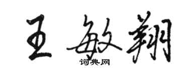 駱恆光王敏翔行書個性簽名怎么寫