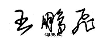 朱錫榮王鵬飛草書個性簽名怎么寫