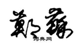 朱錫榮鄭蘇草書個性簽名怎么寫