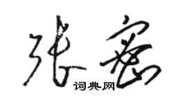 駱恆光張密草書個性簽名怎么寫