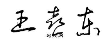 曾慶福王喜東草書個性簽名怎么寫