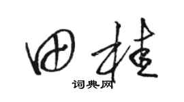 駱恆光田桂草書個性簽名怎么寫