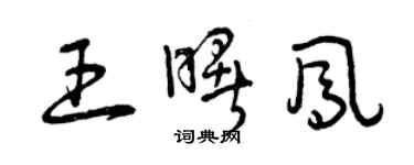 曾慶福王曙鳳草書個性簽名怎么寫